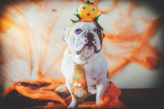 PORTRAIT DE NACHO LE 21/10/2025