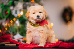 PORTRAIT DE RASPOUTINE LE 23/12/2025