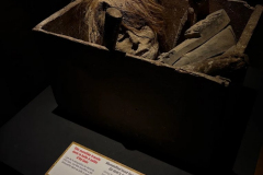 SERIAL KILLER EXHIBITION À PARIS (75015) LE 15/03/2025 (PARTIE 2/2)