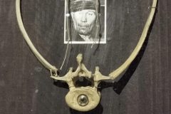 SERIAL KILLER EXHIBITION À PARIS (75015) LE 15/03/2025 