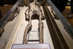 SERIAL KILLER EXHIBITION À PARIS (75015) LE 15/03/2025 