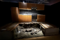 SERIAL KILLER EXHIBITION À PARIS (75015) LE 15/03/2025 