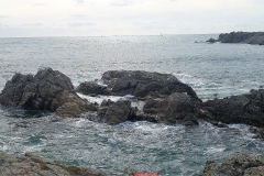 SOUVENIR DE LA LOIRE-ATLANTIQUE (44) EN SEPTEMBRE 2016