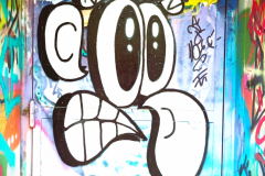 STREET ARTS A VALENCE (26) & GRNOBLE (38) 2022/2023