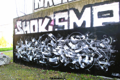 STREET ARTS A VALENCE (26) & GRNOBLE (38) 2022/2023
