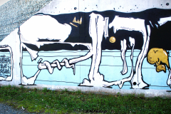 STREET ARTS A VALENCE (26) & GRNOBLE (38) 2022/2023