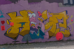 STREET ARTS DE VALENCE (26) LE 02/07/2023