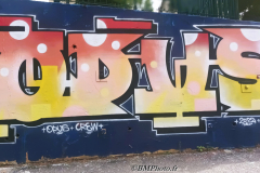 STREET ARTS DE VALENCE (26) LE 02/07/2023
