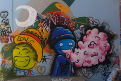 STREET ARTS DE VALENCE (26) LE 02/07/2023