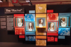 The FRIENDS™ Experience 2024-2025 (deuxième partie) à PARIS (75015)